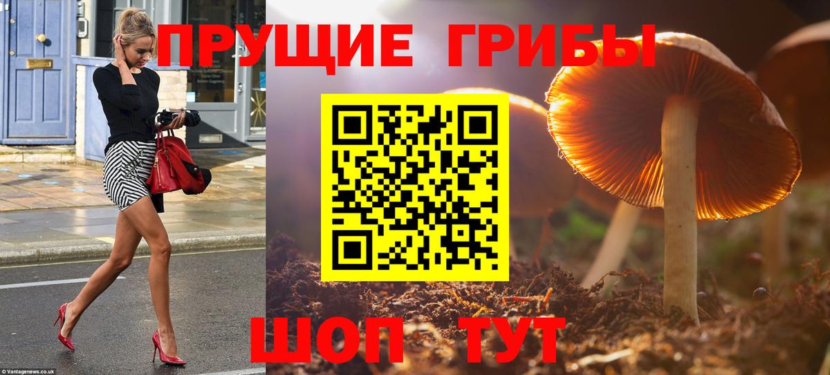 Галлюциногенные грибы Psilocybine cubensis  Вход с VPN  Новодвинск 