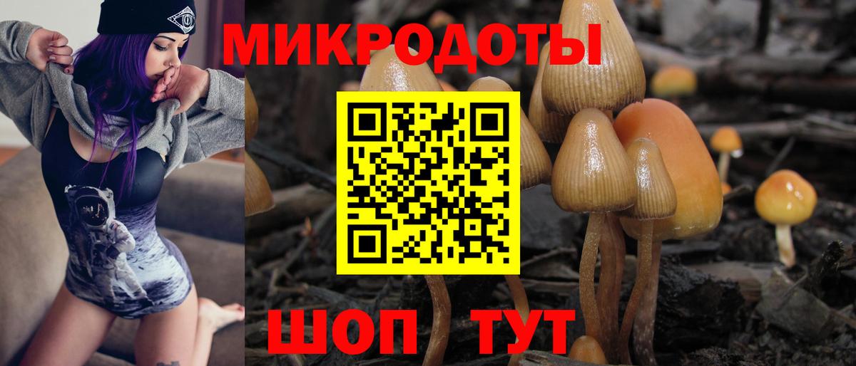 Псилоцибиновые грибы мухоморы Новодвинск