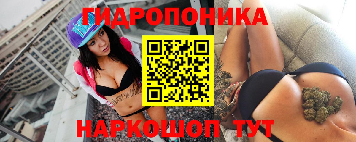 Бошки марихуана White Widow  Вход с VPN  Конопля гибрид  Шишки марихуана конопля  Марихуана Amnesia  Новодвинск 